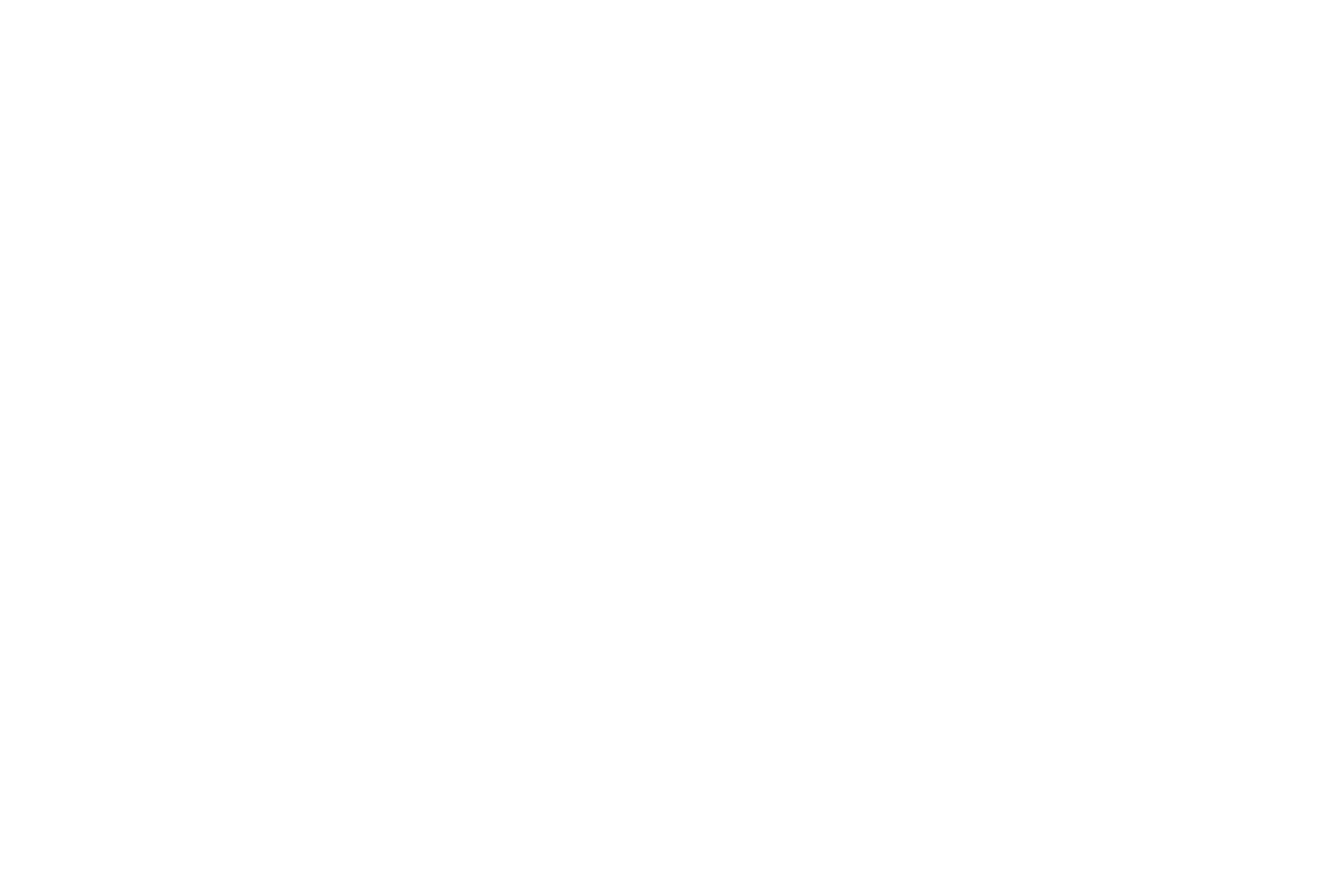 Fighting Smart Cyber